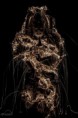 /album/fotogalerie-mal-so-mal-so/mg-1462light-jpg/